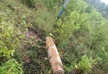 Colombia acusa a Ecuador de bombardear su territorio