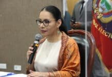 CNE: renuncia Diana Atamaint y se principaliza José Merino